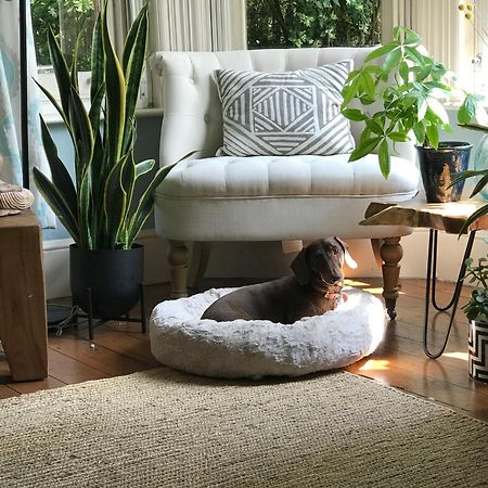 Dawn And Dudley The Sausage Dog'S Parkside Home Londres Exterior foto